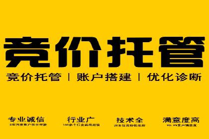 案例回顾：SEM托管助力企业实现快速扩张